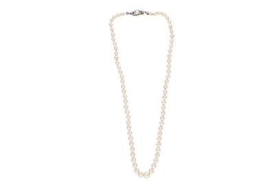 Collana di perle coltivate - Asta Preziosi Collana di perle coltivate - Asta Preziosi