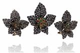 Parure pendente e orecchini con smeraldi, quarzi e diamanti - Asta Preziosi Parure pendente e orecchini con smeraldi, quarzi e diamanti - Asta Preziosi