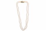 Collana con doppio filo di perle - Asta Preziosi Collana con doppio filo di perle - Asta Preziosi