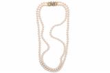 Collana di perle - Asta Preziosi Collana di perle - Asta Preziosi