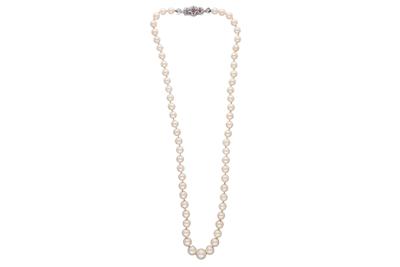 Collana di perle coltivate - Asta Preziosi Collana di perle coltivate - Asta Preziosi