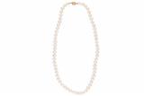 Collana di perle - Asta Preziosi Collana di perle - Asta Preziosi
