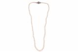 Collana di perle con rubino - Asta Preziosi Collana di perle con rubino - Asta Preziosi