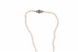Collana di perle con rubino - Asta Preziosi Collana di perle con rubino - Asta Preziosi