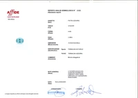 Coppia di tormaline azzurre - Asta Preziosi Coppia di tormaline azzurre - Asta Preziosi