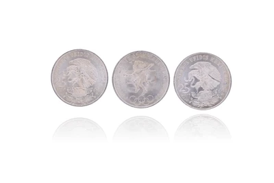 11 Monete in argento - Asta Preziosi 11 Monete in argento - Asta Preziosi