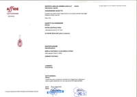 Ciondolo con berillo rosa e diamanti - Asta Preziosi Ciondolo con berillo rosa e diamanti - Asta Preziosi