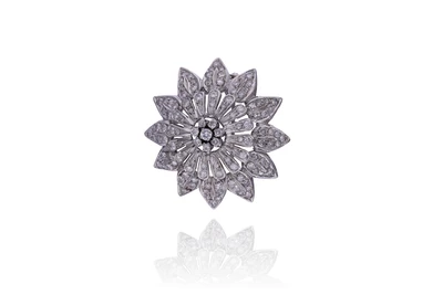 Spilla con diamanti - Asta Preziosi Spilla con diamanti - Asta Preziosi