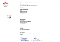 Anello con smeraldo e diamanti - Asta Preziosi