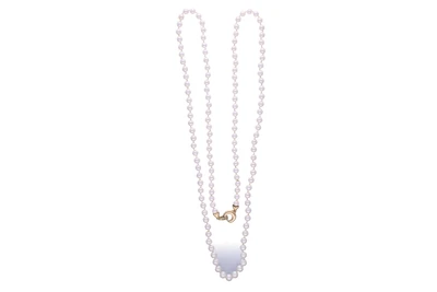 Collana di perle coltivate - Asta Preziosi