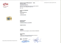 Chiusura per collana con zaffiro e diamanti - Asta Preziosi Online