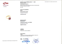 Anello con rubino e diamanti - Asta Preziosi