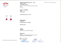 Orecchini con rubini e diamanti - Asta Preziosi