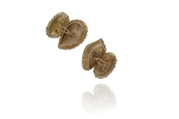 Gemelli con tormaline - Asta Preziosi