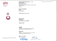 Spilla/Centrale con diamanti e rubini - Asta Preziosi Spilla/Centrale con diamanti e rubini - Asta Preziosi