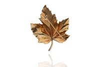 Tiffany e Co spilla - Asta Preziosi