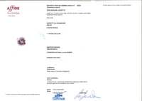 Anello con rubini e diamanti - Asta Preziosi