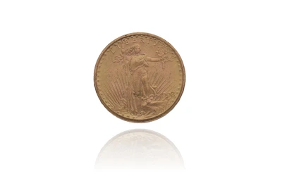 20 Dollari Stati Uniti - Asta Preziosi