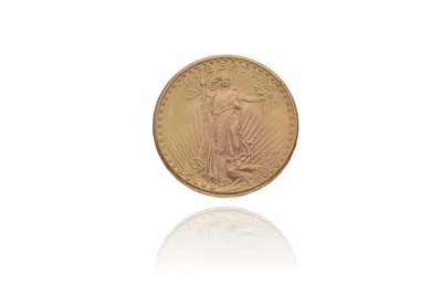 20 Dollari Stati Uniti - Asta Preziosi