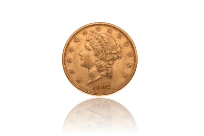 20 Dollari americani - Asta Preziosi