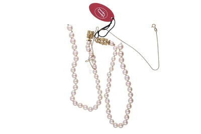 - Asta Tesoro Online  - Asta Tesoro Online