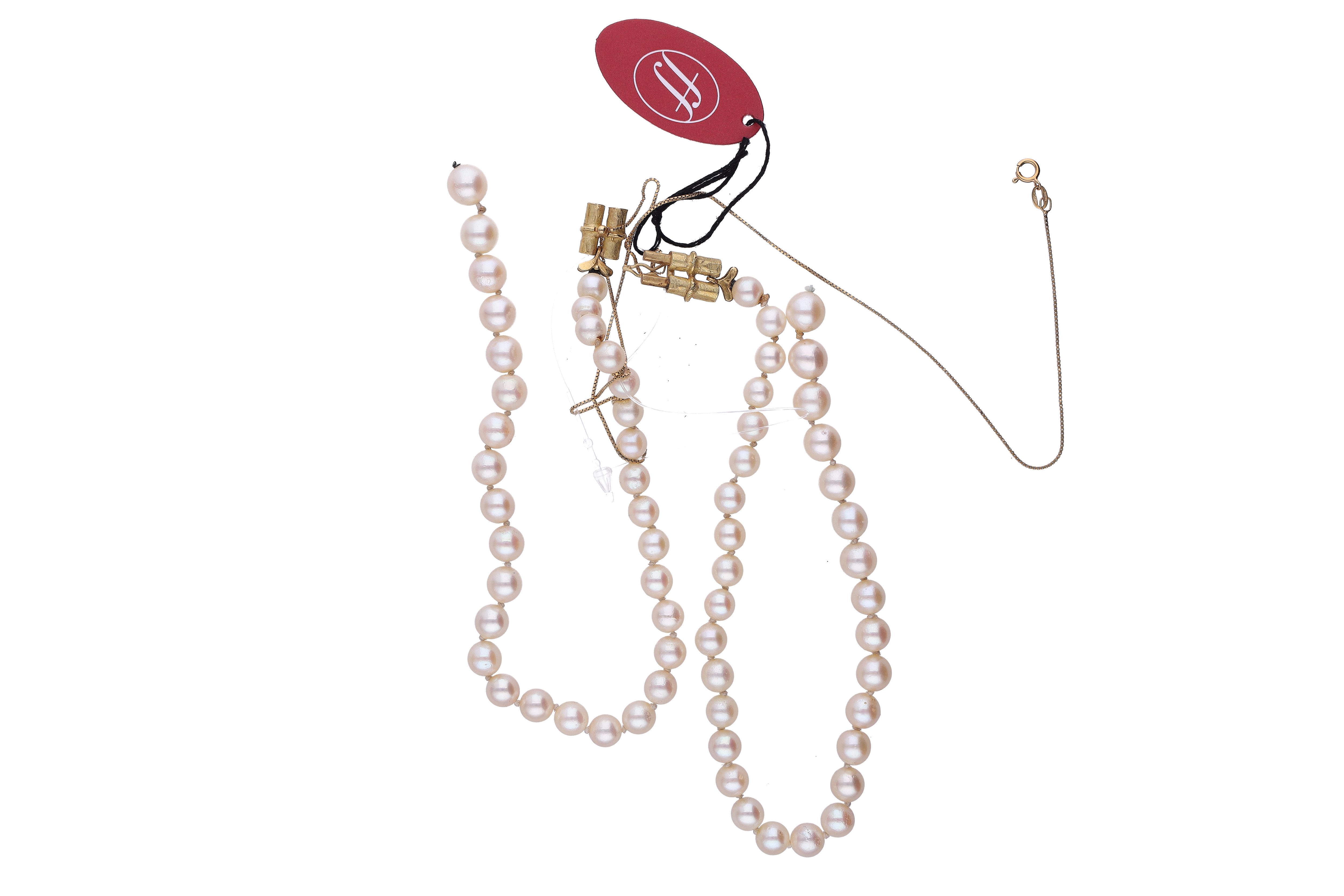  - Asta Tesoro Online