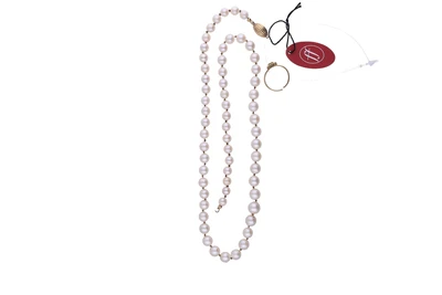  - Asta Tesoro Online