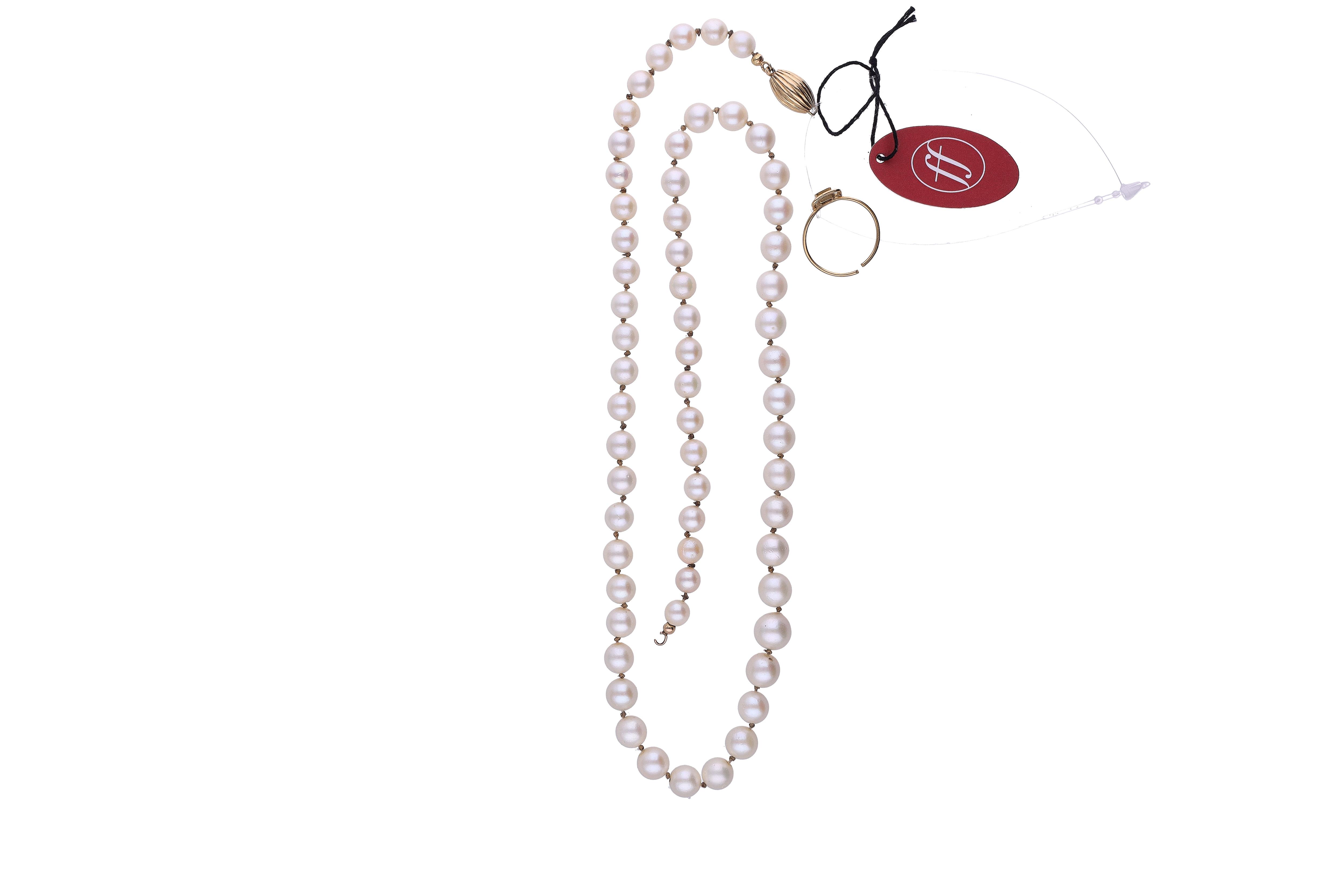  - Asta Tesoro Online