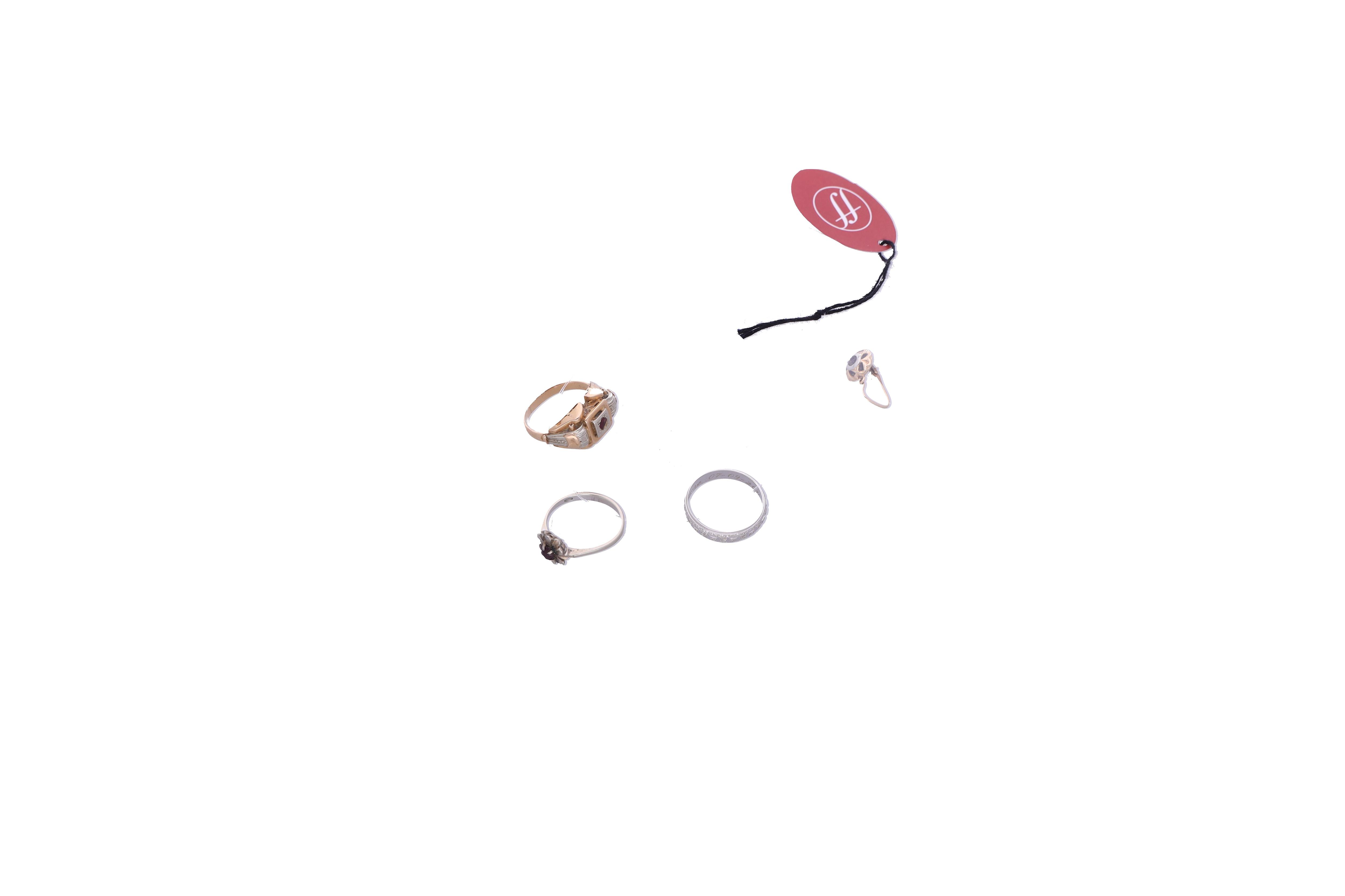  - Asta Tesoro Online