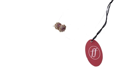  - Asta Tesoro Online