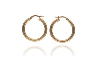 Paio di orecchini a cerchio - Asta Preziosi