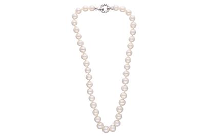 Collana con perle coltivate - Asta Preziosi