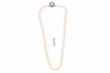 Collana di perle e orecchino - Asta Preziosi Collana di perle e orecchino - Asta Preziosi