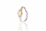 Rolex Oyster Perpetual Lady - Asta Preziosi Rolex Oyster Perpetual Lady - Asta Preziosi
