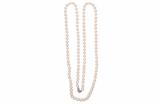 Collana di perle e diamanti - Asta Preziosi Collana di perle e diamanti - Asta Preziosi