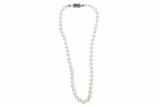 Collana perle con rubini - Asta Preziosi Collana perle con rubini - Asta Preziosi