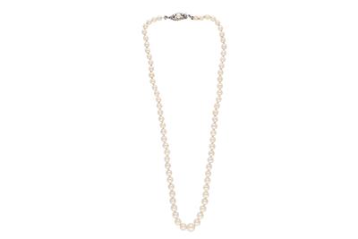 Collana di perle coltivate - Asta Preziosi Collana di perle coltivate - Asta Preziosi