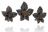Parure pendente e orecchini con smeraldi, quarzi e diamanti - Asta Preziosi Parure pendente e orecchini con smeraldi, quarzi e diamanti - Asta Preziosi