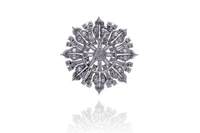 Spilla con diamanti - Speciale Gioielli Spilla con diamanti - Speciale Gioielli