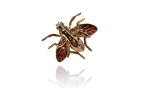 Spilla a forma di insetto con smalti e diamanti - Asta Tesori d'Autunno Spilla a forma di insetto con smalti e diamanti - Asta Tesori d'Autunno