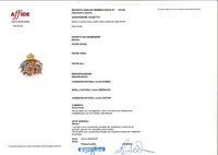 Spilla con rubini, smeraldi, zaffiri e diamanti - Asta Tesori d'Autunno Spilla con rubini, smeraldi, zaffiri e diamanti - Asta Tesori d'Autunno