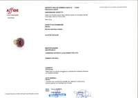 Anello con diamanti e rubino stellato - Asta Speciale Gioielli