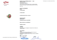 Anello con diamanti, rubino e smeraldi - Asta Speciale Gioielli