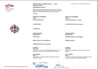 Jack Gutschneider, spilla con diamanti, rubini, smeraldi, zaffiri e pietra - Asta Speciale Gioielli