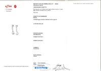 Orecchini con diamanti - Asta Speciale Gioielli