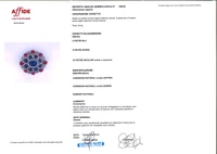Spilla/ciondolo con diamanti, zaffiri e rubini - Asta Speciale Gioielli