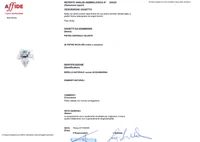 Spilla con acquamarina e diamanti - Asta Speciale Gioielli