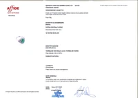 Anello con tormalina verde e diamanti - Asta Speciale San Valentino