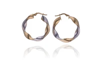 Orecchini in oro - Asta Young