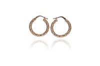 Orecchini in oro - Asta Young